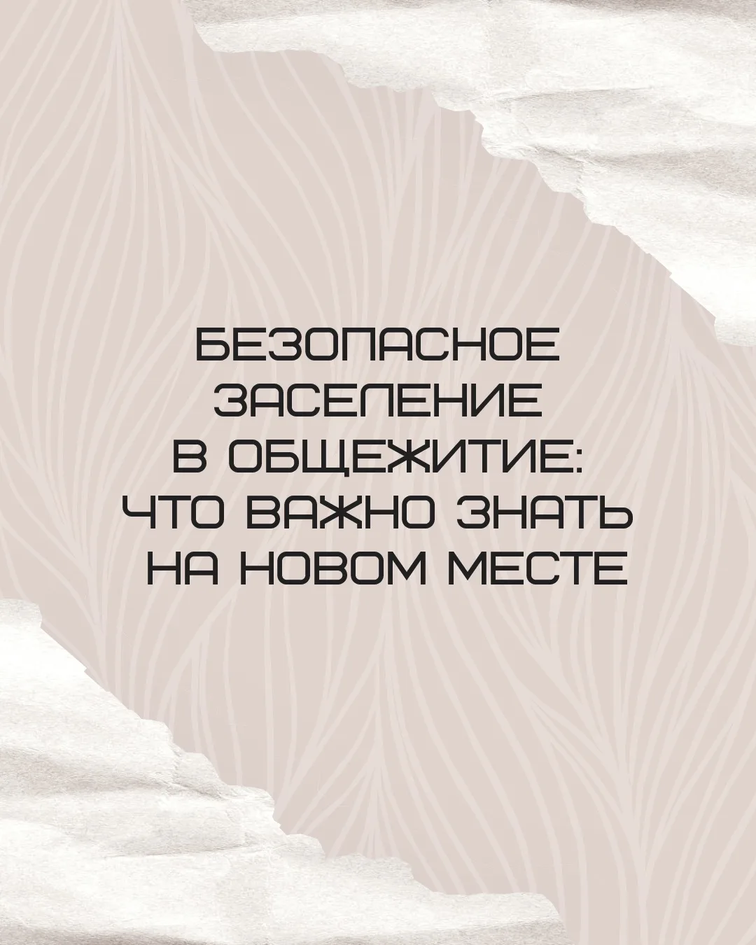 🏢 Переезд в общежитие — всегда волнительный момент. Новая комната, новые соседи, новый...