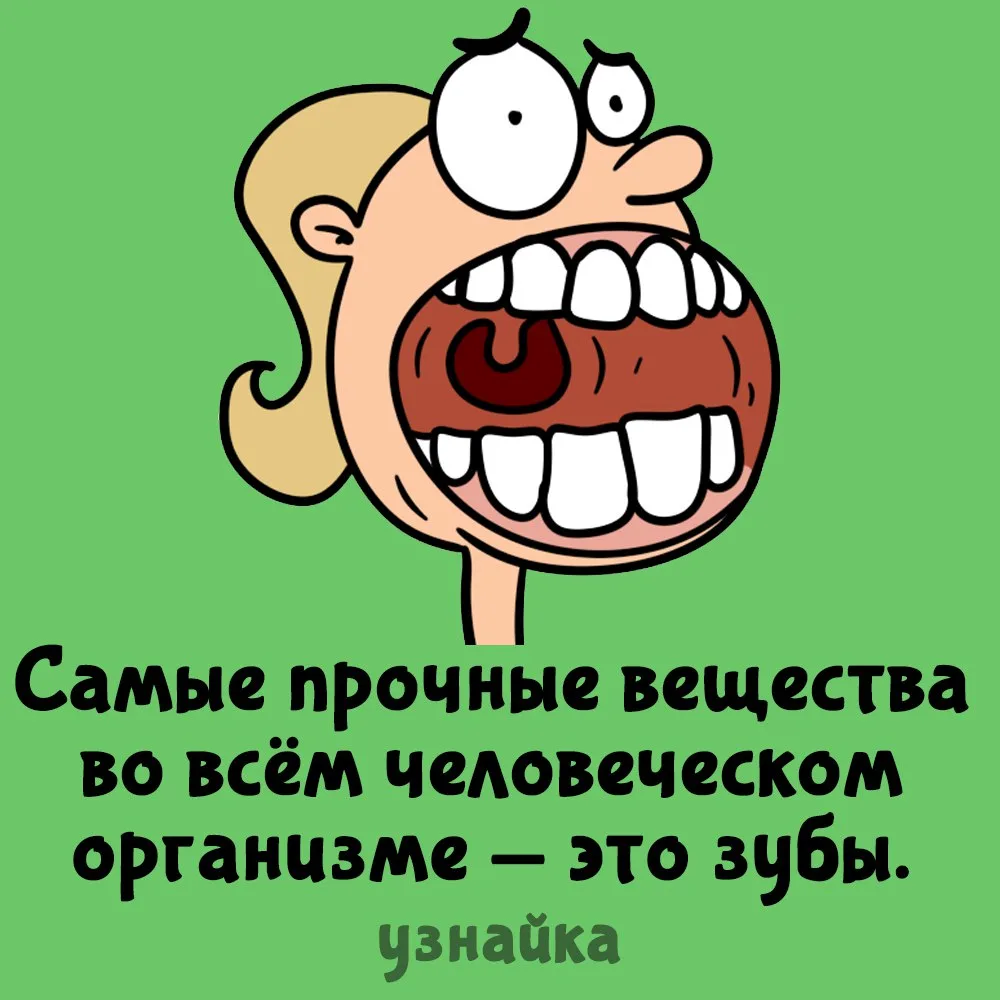 И самые дорогие в обслуживании😂