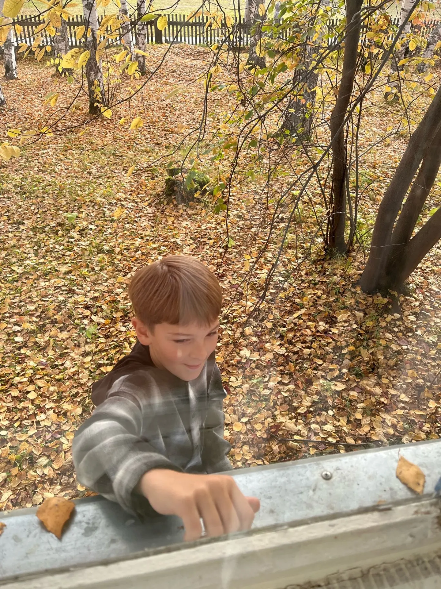 Белочка в школьном парке: маленький герой наших уроков 🌳🐿️