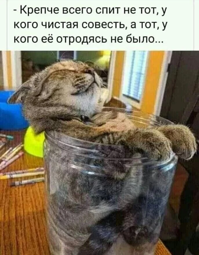 🧓 Пенсионеры РФ