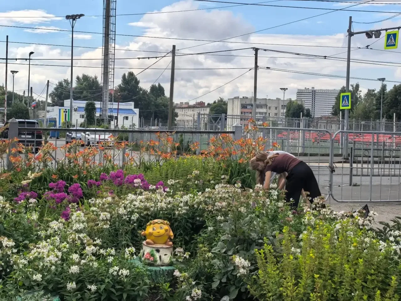 #новости@mediaproject 
☀️ ЛЕТО, СОЛНЦЕ... И ПОЛЕЗНАЯ РАБОТА! ☀️ 

Лето — время не только для отдыха,