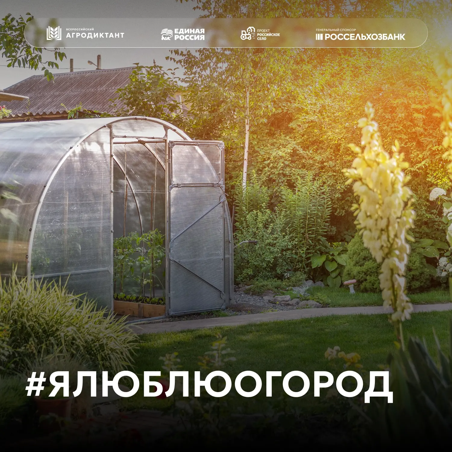Несколько выходных — и полстраны уже жарят шашлыки и перемещаются на грядки. Мы все нем...