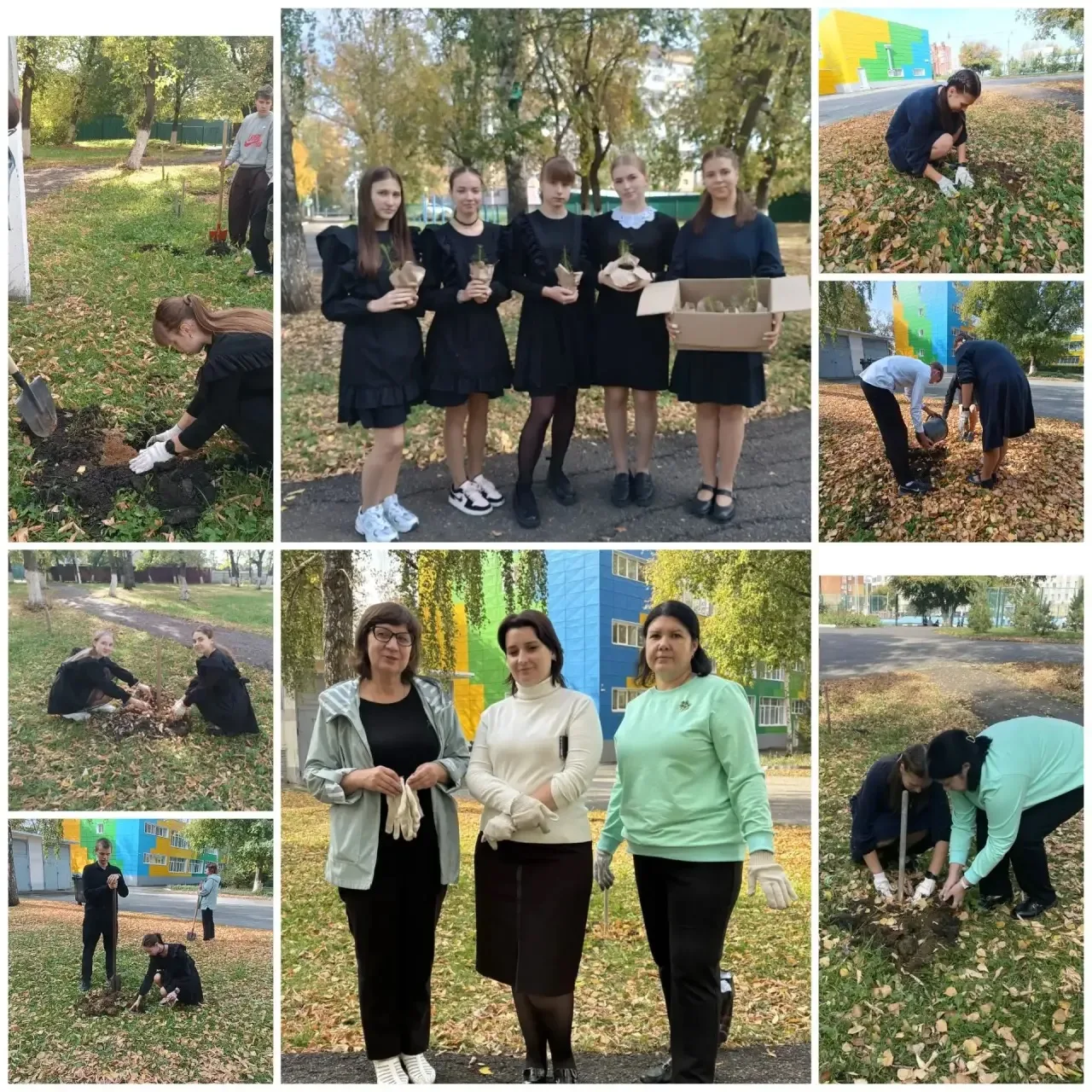 🌱 Доброе дело — надолго! 🌱