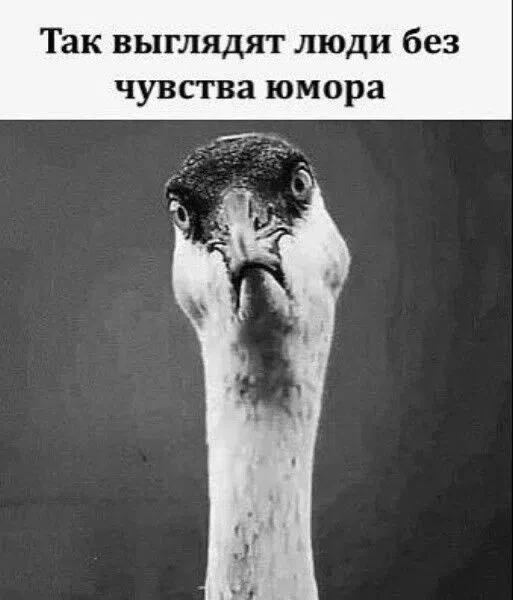 Секреты гармонии — Подписывайся