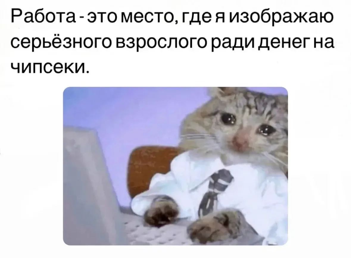 Хочу чипсеки...

🔈МУЗЫКАЛЬНЫЙ БОТ: @id312331080157_3_bot
(найдёт и скачает любой трек/песню)