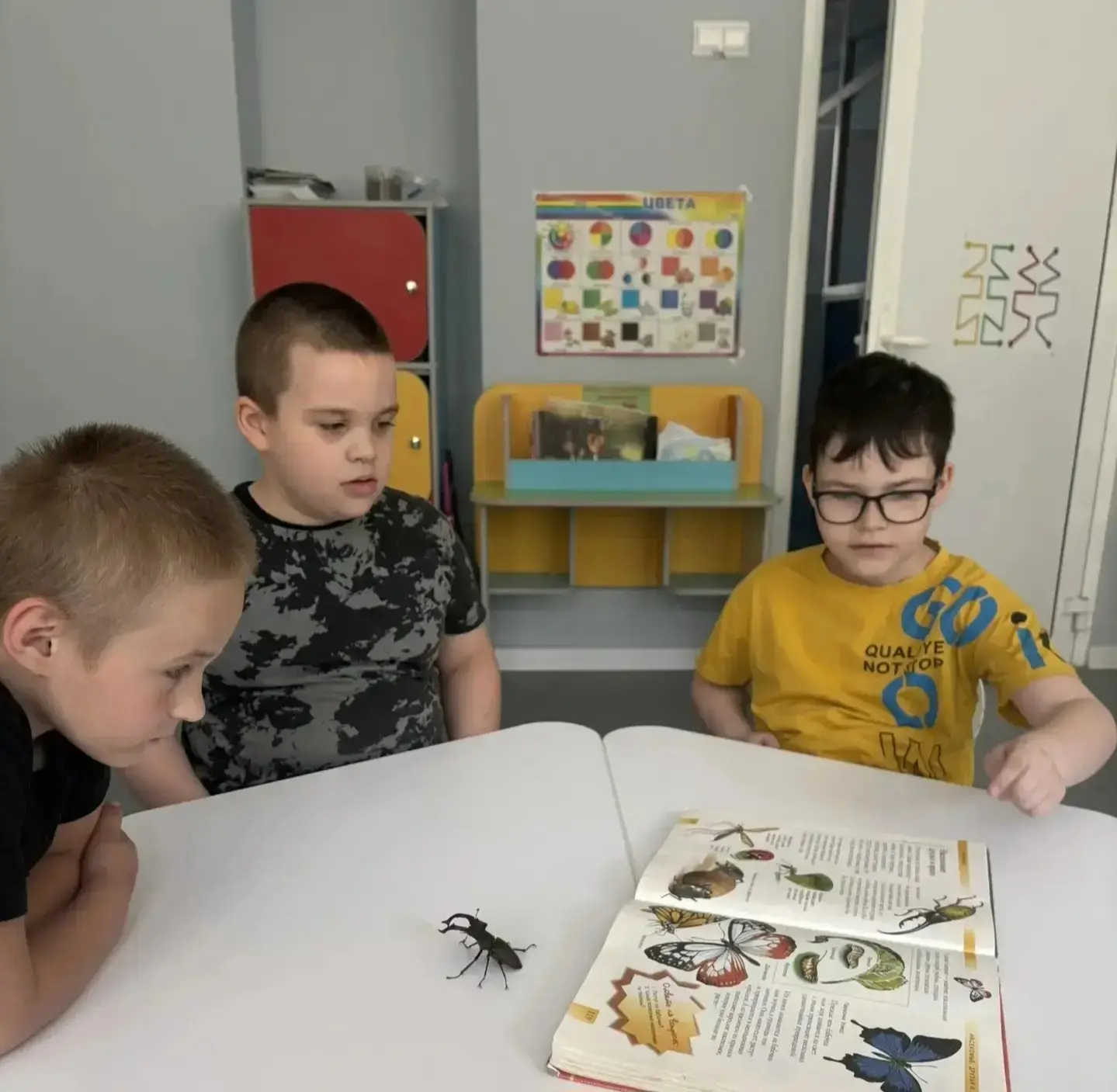 🐞 Жуки: от страха до открытия