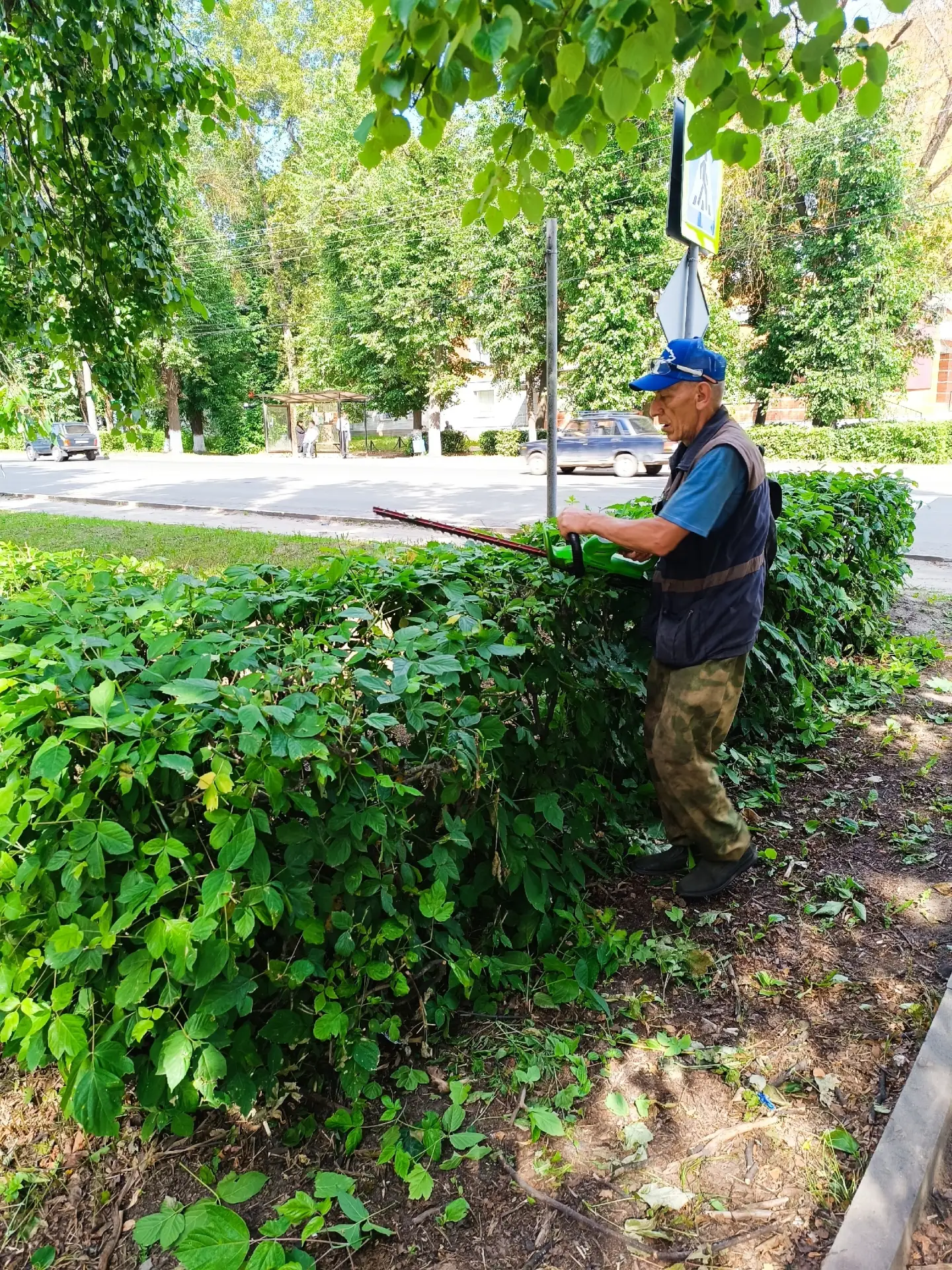🌳🌼 В городе продолжаются работы по благоустройству: специалисты проводят обрезку куст...