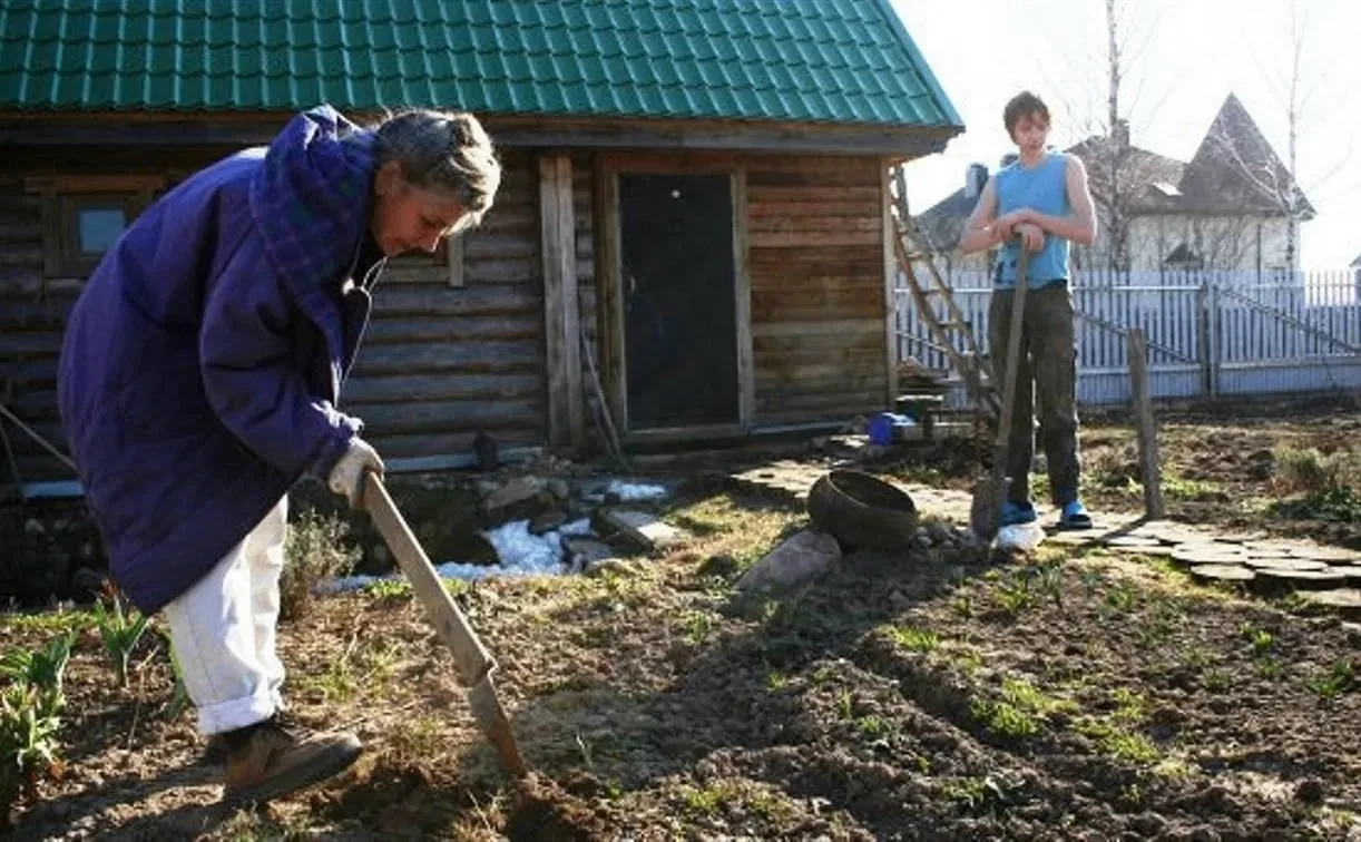 Садоводы и огородники получат льготу на электричество