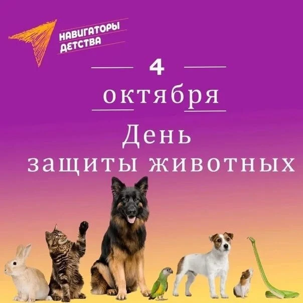 🐾4 октября — Всемирный день защиты животных!