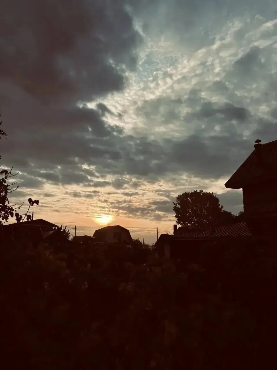 Хорошего вечера. 🌅