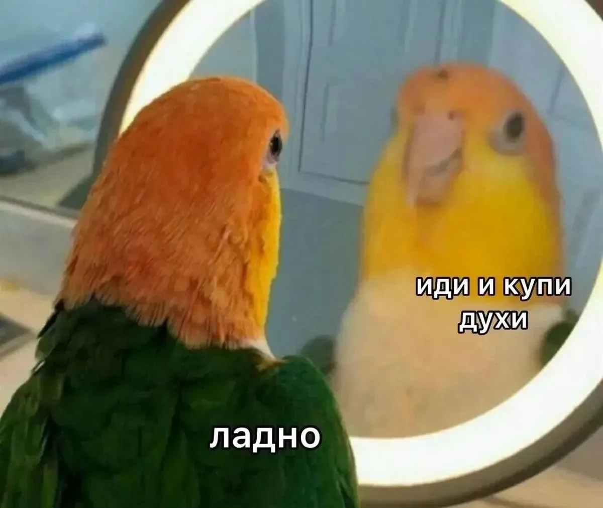Что остается в комнате, когда из нее выходит женщина?
