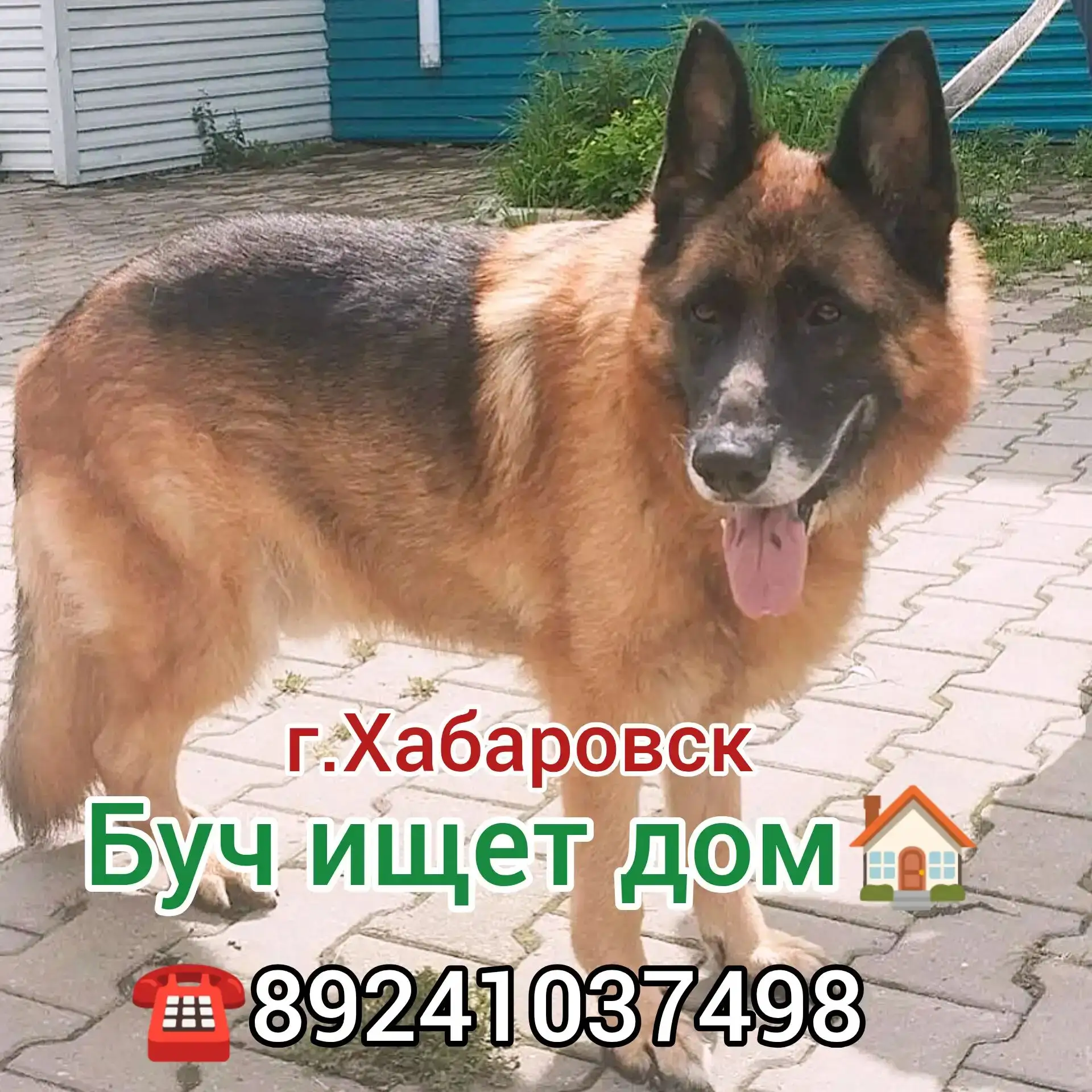 Дорогие друзья❤️