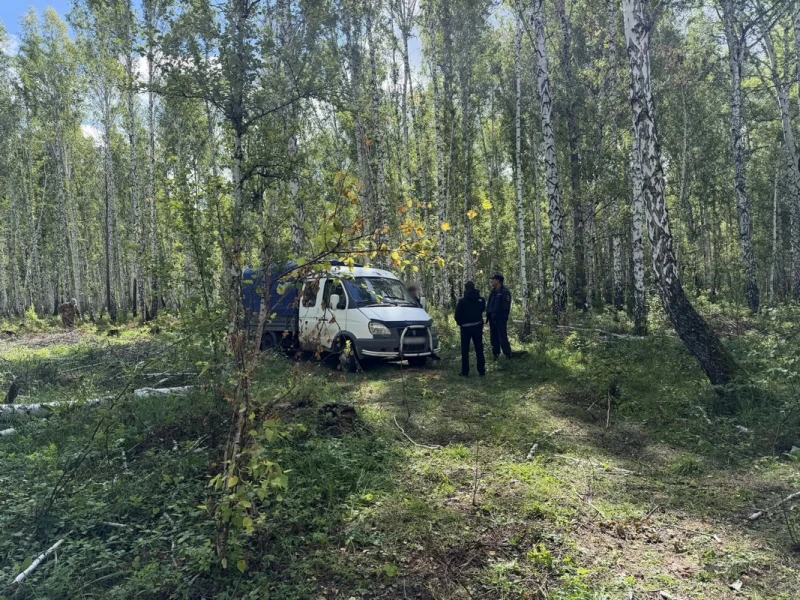 В Катайском округе полицейские задержали мужчину, подозреваемого в незаконной вырубке л...