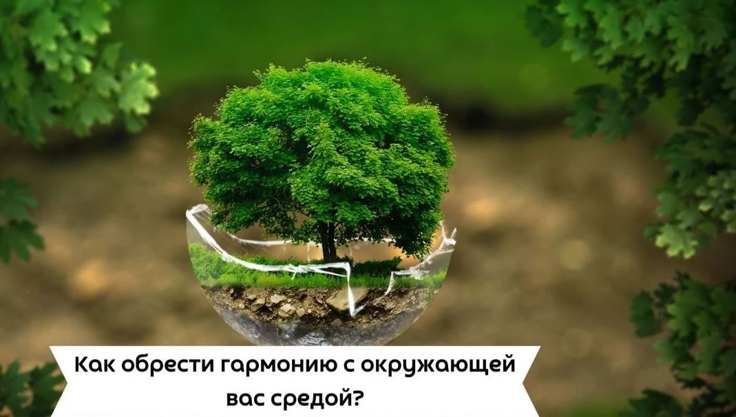 #саморазвитие

Как обрести гармонию с окружающей вас средой?

У всех нас есть глобальные мечты, к пр