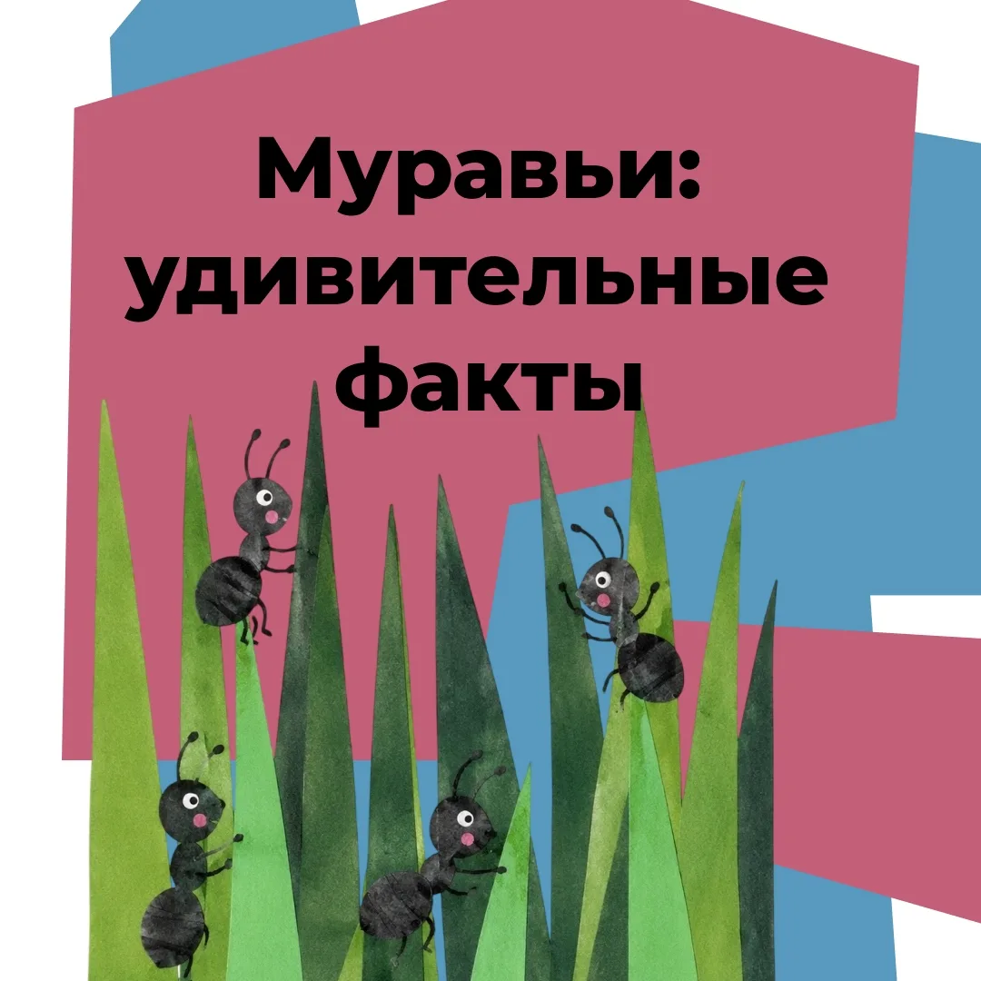 🐜  Маленькие, но удивительные!