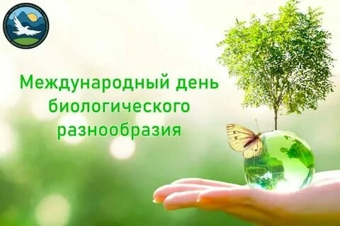 22 мая отмечается Международный день биологического разнообразия 🐄🐃🦬🐏🦥🦘🦓🐘🦣🦏🦛...