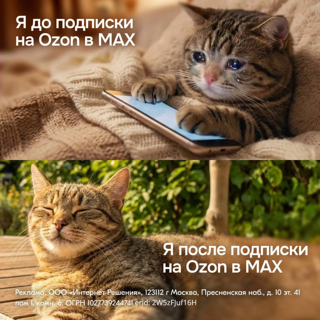💙 Канал Ozon в MAX!