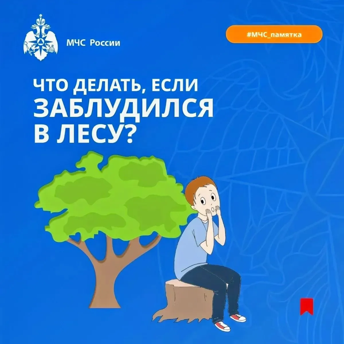 🌲 Потеряться в лесу можно за считанные минуты, поэтому важно знать, как вести себя в т...