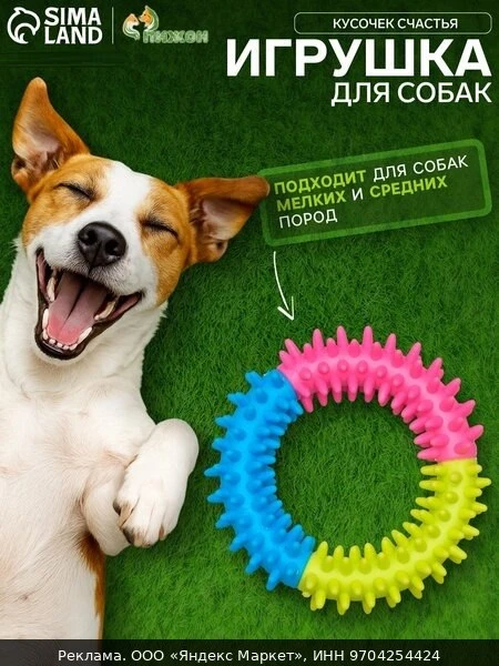 💍Кольцо Пижон "Кусочек счастья", для собаки, для зубов, с шипами, 9,5 см, разноцветный
