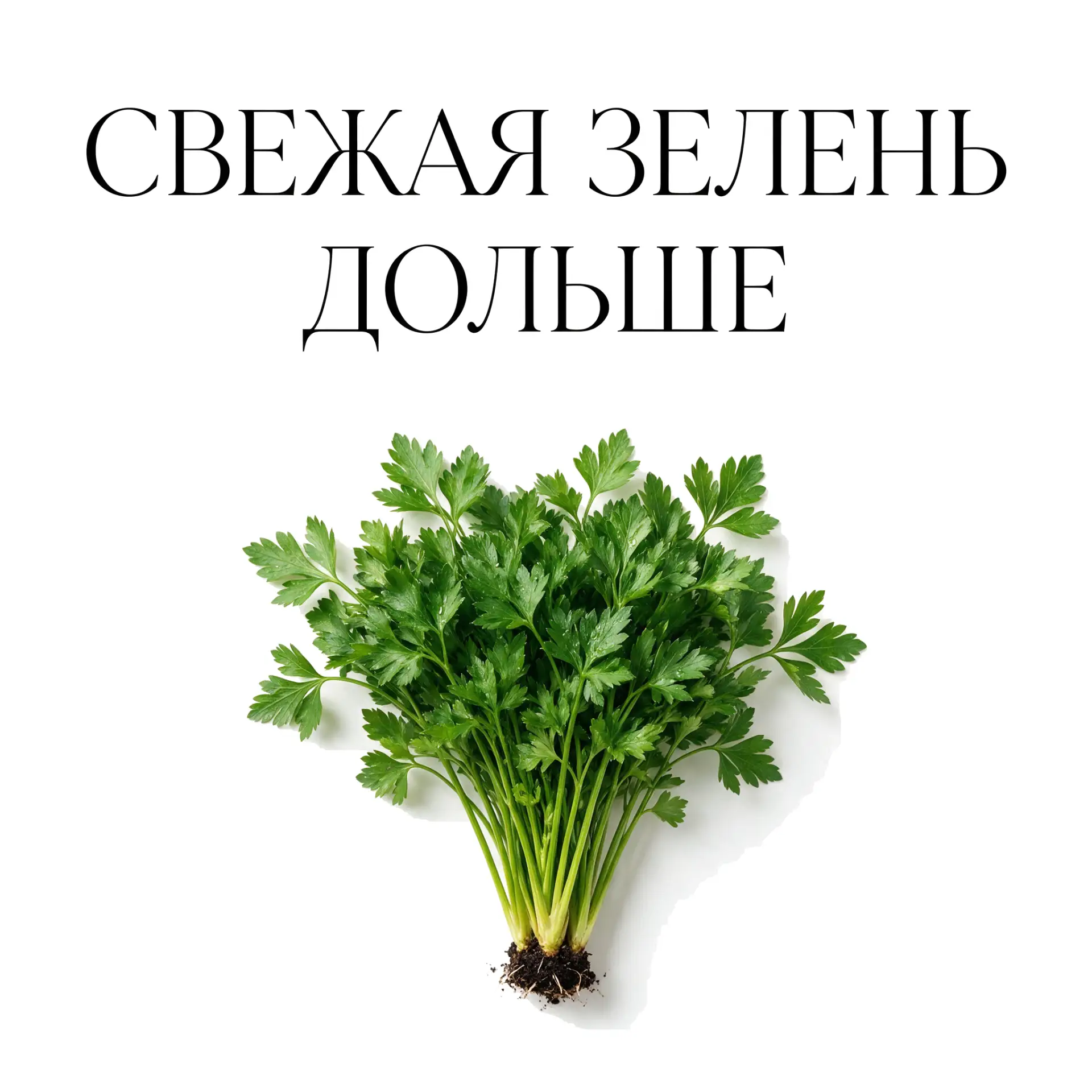 💡 Пост дня