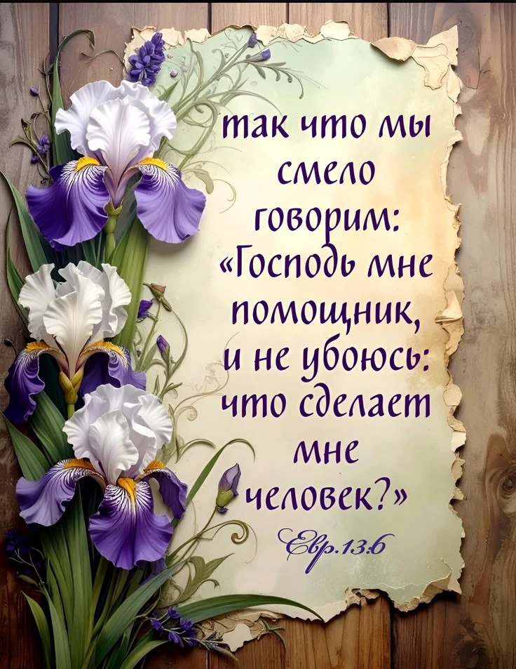 👉 Наши каналы. Подписаться.