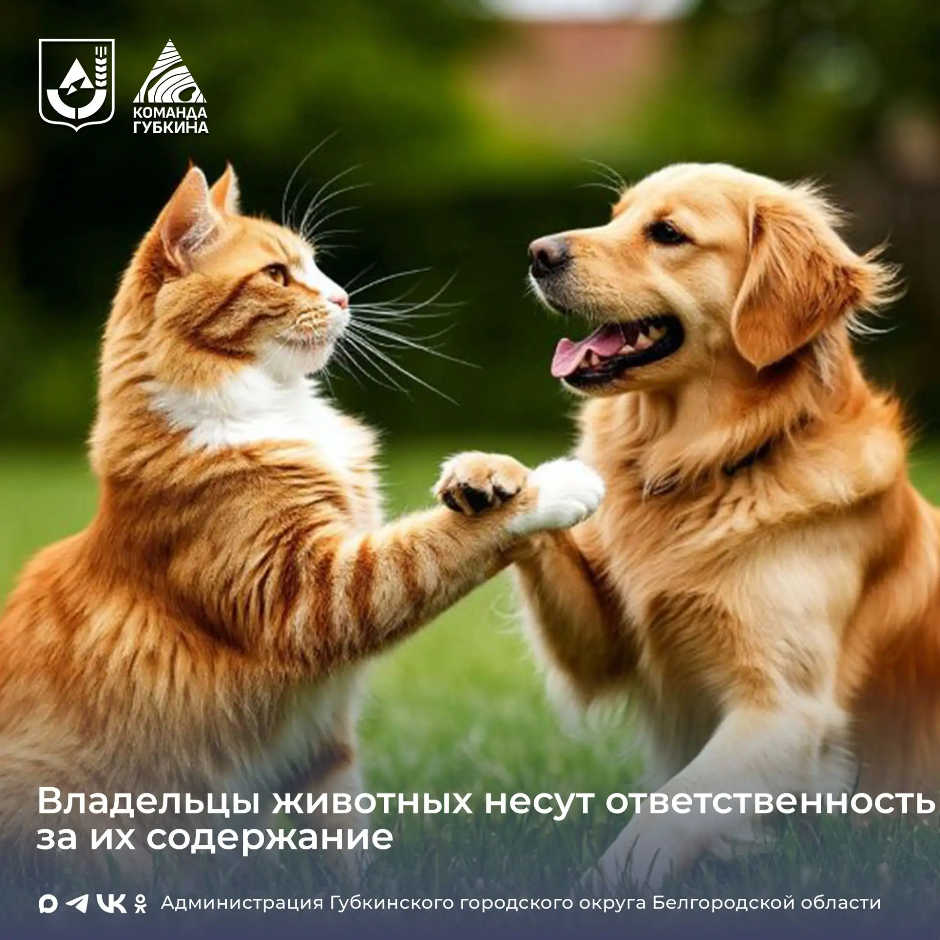 Владельцы животных должны неукоснительно соблюдать правила содержания животных ⁣ ✔Бешенство — смерте