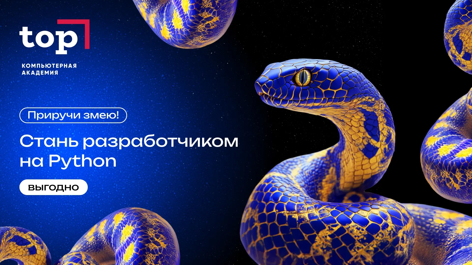 Работа не меняется годами, а зарплата не растёт?