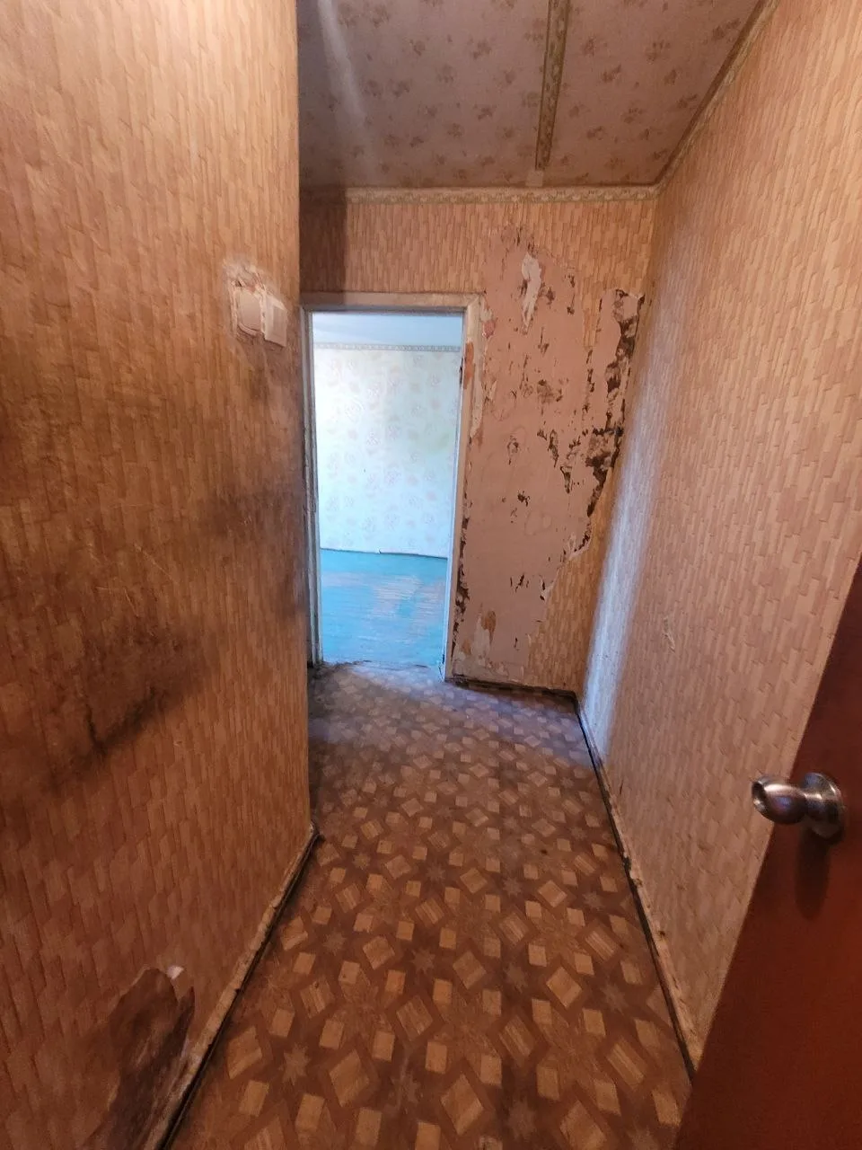 Id 2193627