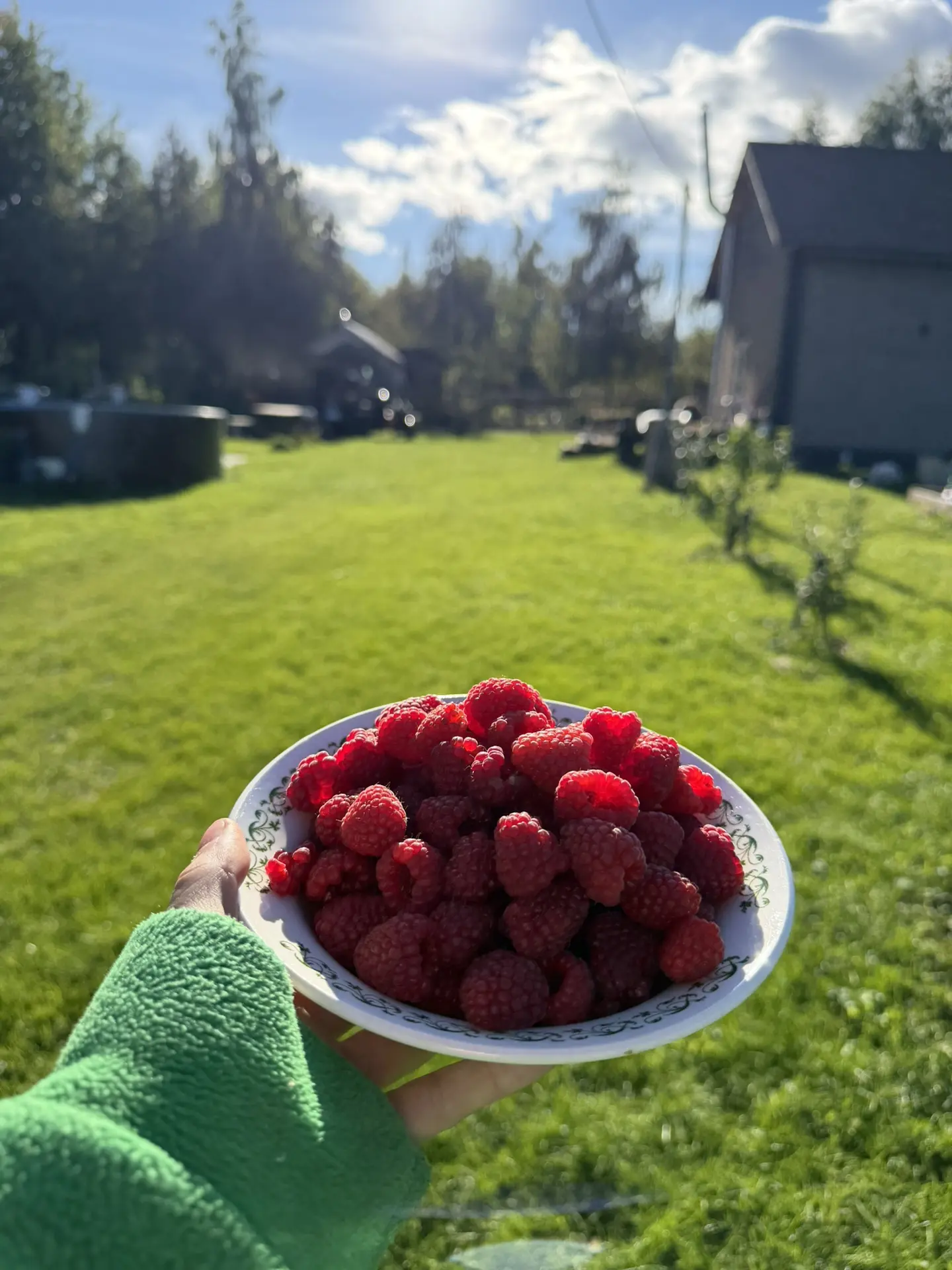 Малина не кислая