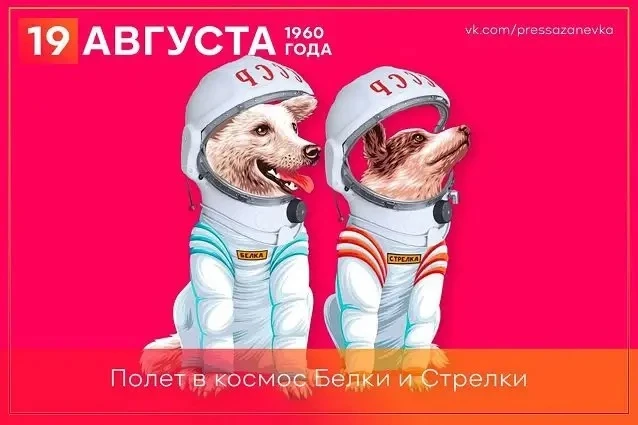 🚀 А ВЫ ЗНАЛИ?