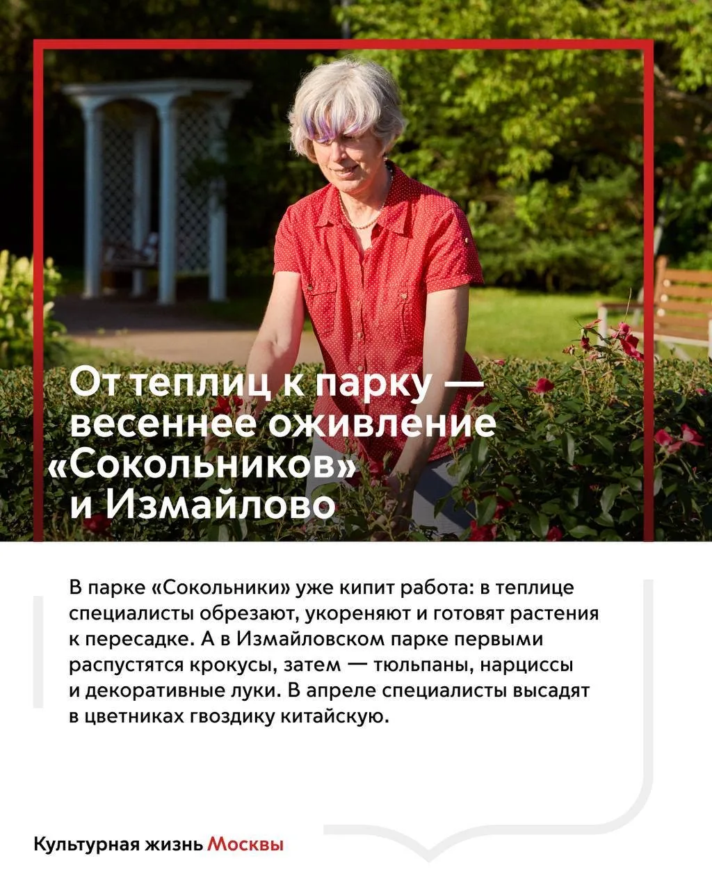 Настоящая весна — в пути: около 800 тысяч цветов распустятся в парках города  Подготовка к весеннему