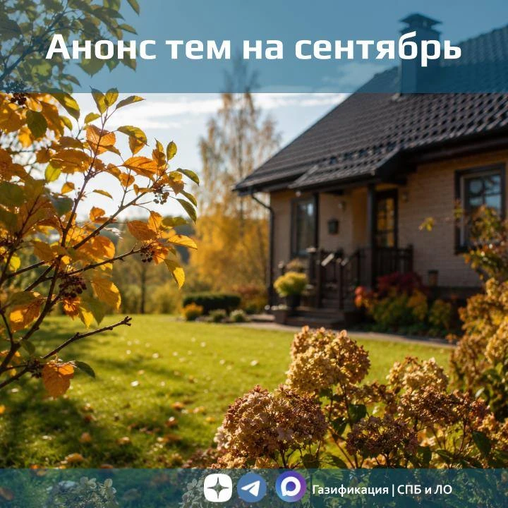 Анонс на сентябрь