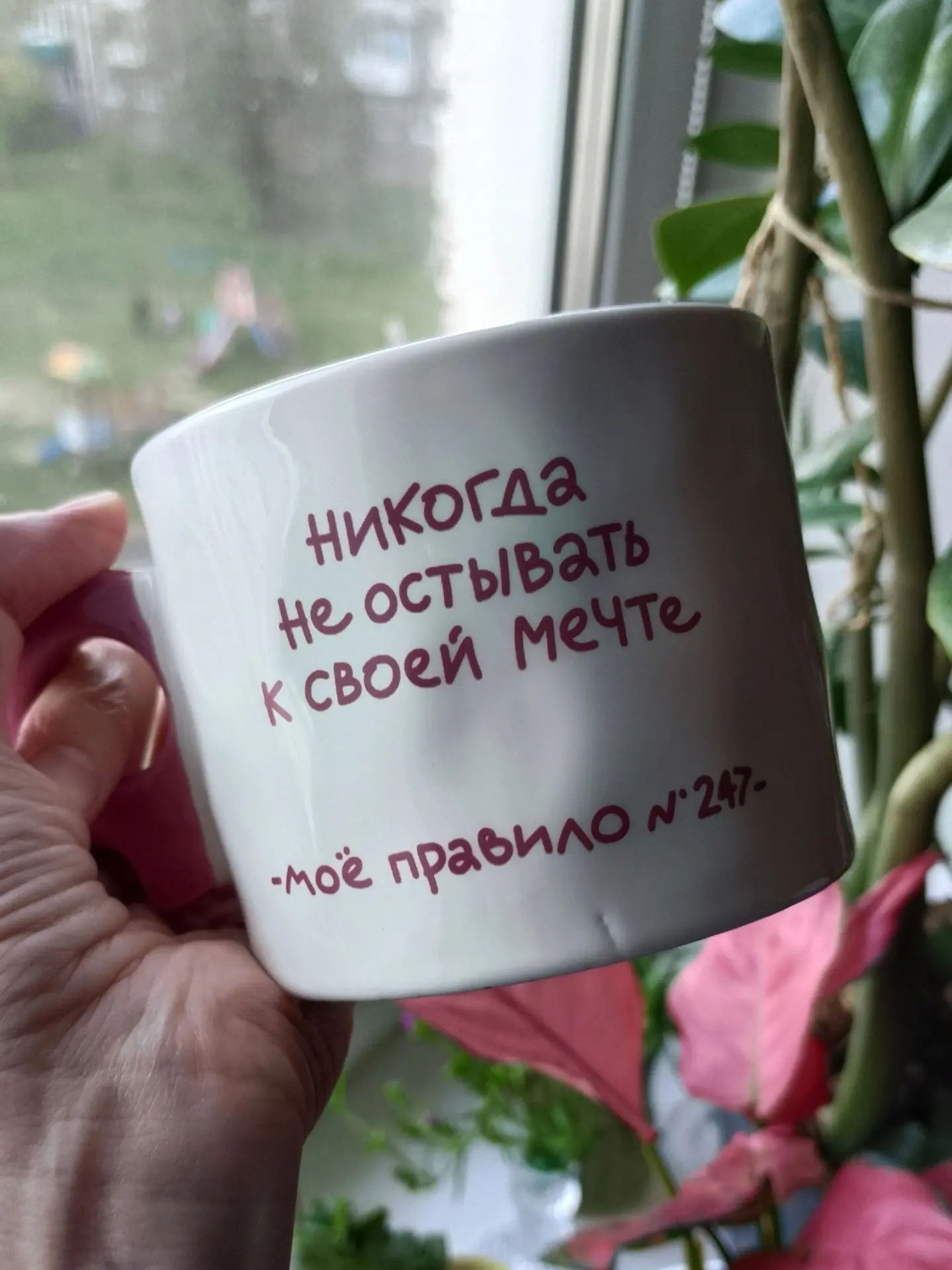 Моя новая кружка! 🔥