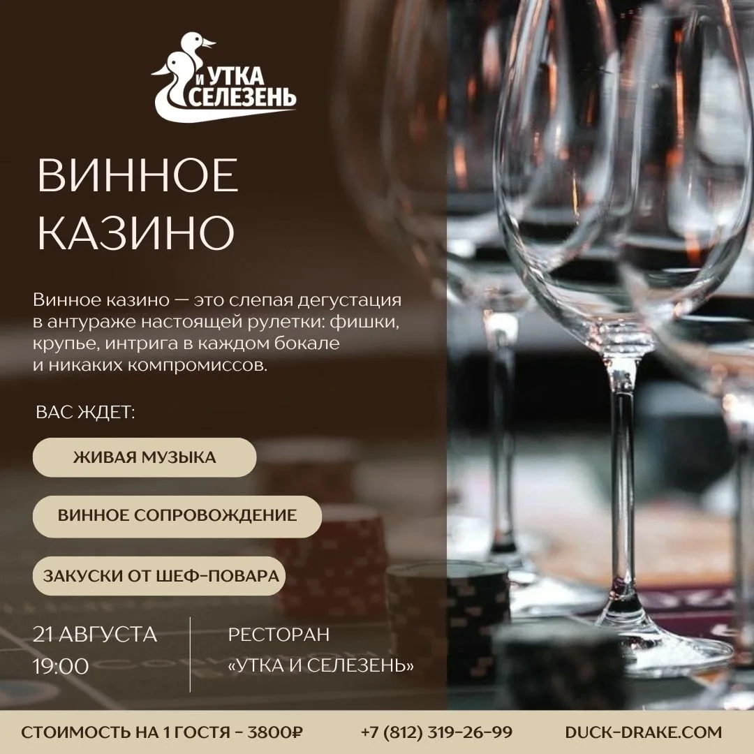 Винное казино 🍷🎰