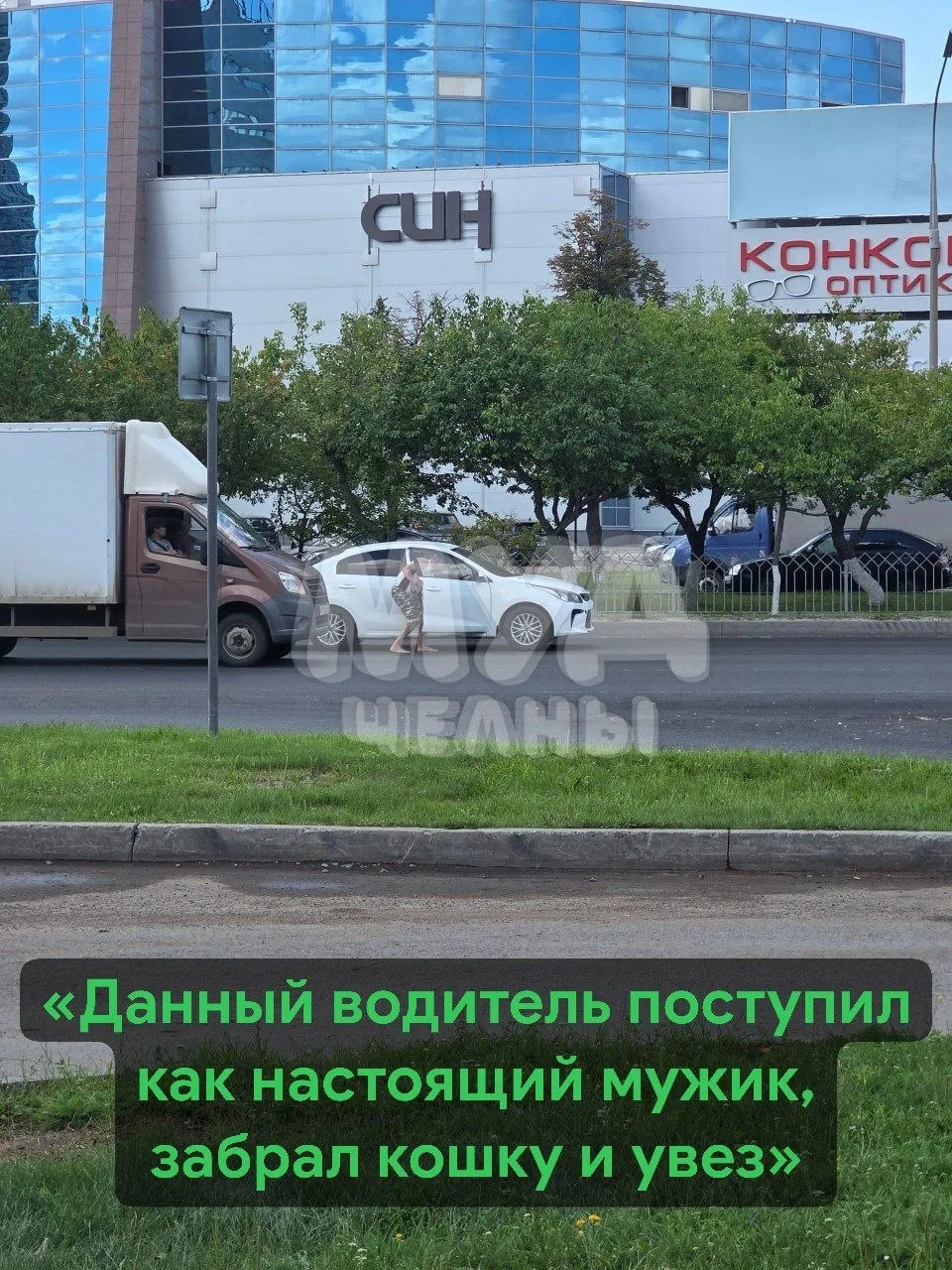 😿 Уважаемые водители. Лежала кошка по проспекту Мира, на кой х.. вы её проезжаете своими колесами. 