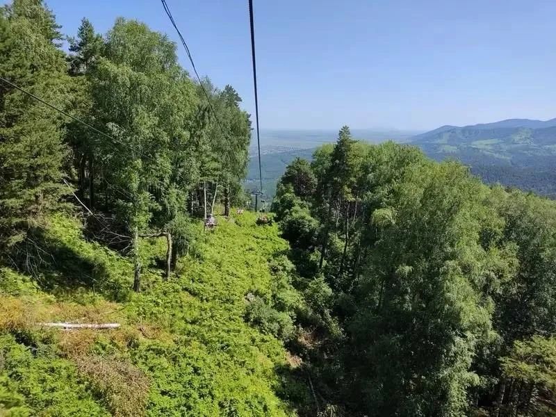 Белокуриха (супер-экспресс)