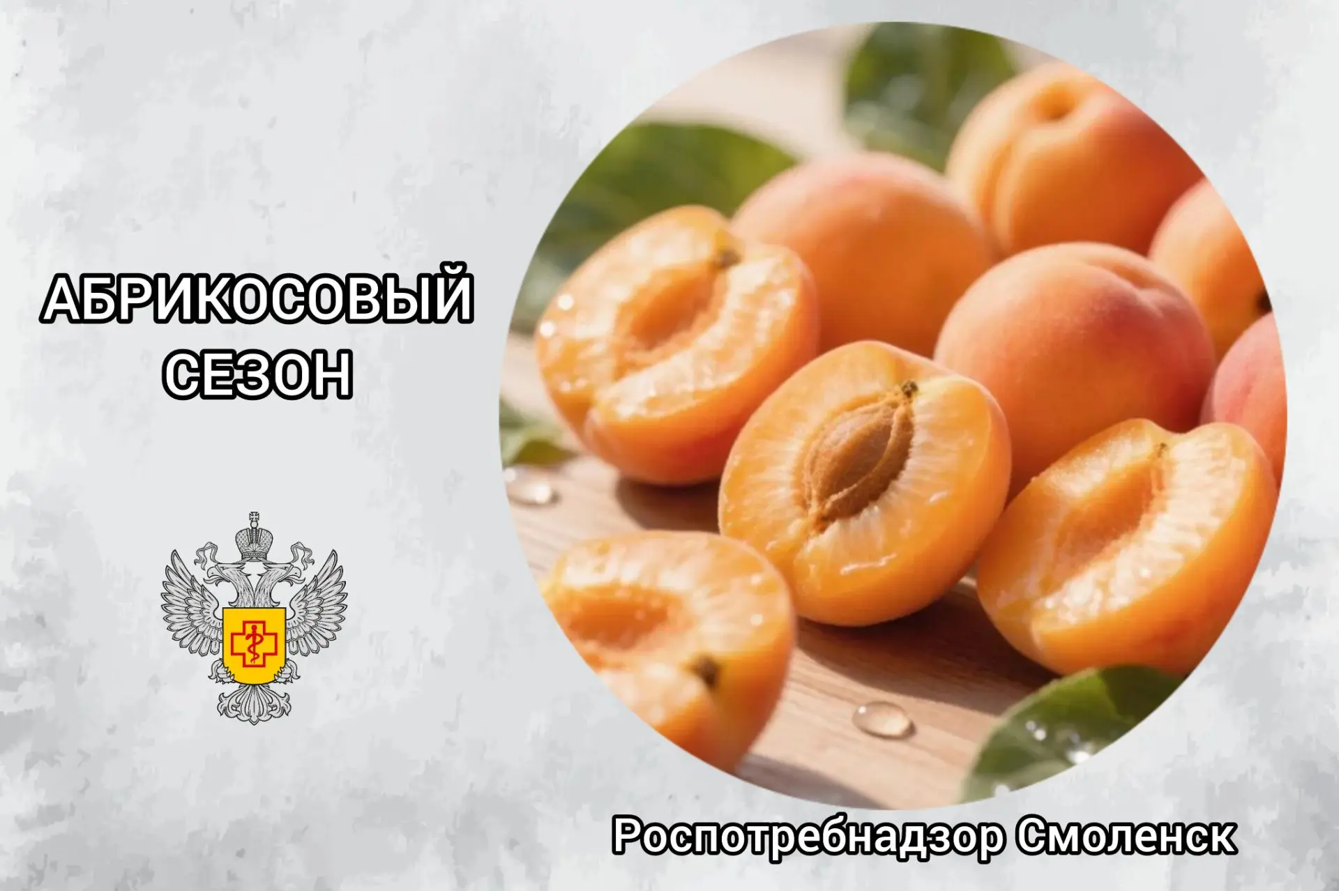 🍑 АБРИКОСОВЫЙ СЕЗОН: как выбрать фрукт, который порадует вкусом и не подведёт

Лето — пора сочных а