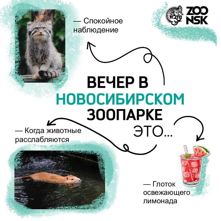 Летний вечер в зоопарке — отдельное удовольствие. 🌿

Меньше солнца, больше прохлады и особая атмосф