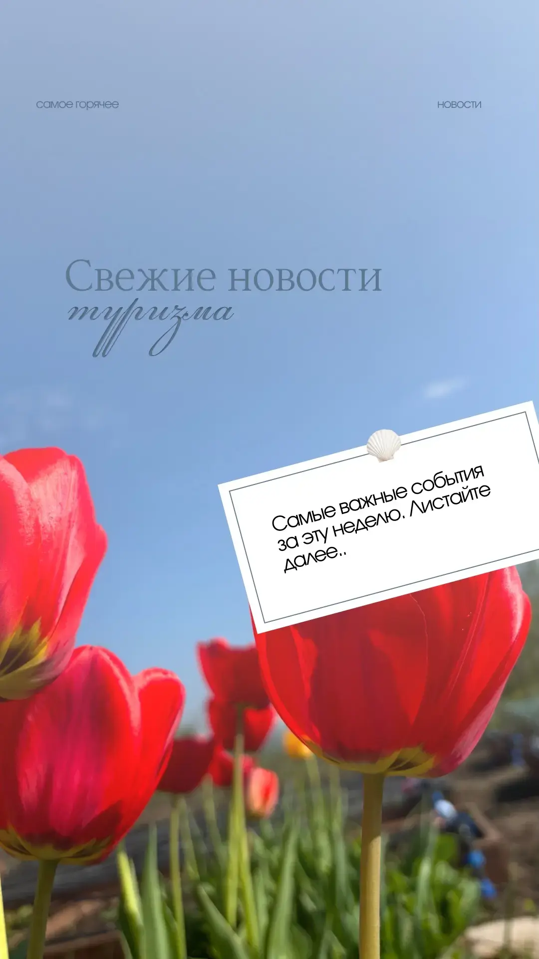 САМЫЕ СВЕЖИЕ НОВОСТИ ИЗ МИРА ТУРИЗМА:

Самые важные события за эту неделю. Листайте 👇

✈ «Победа» з