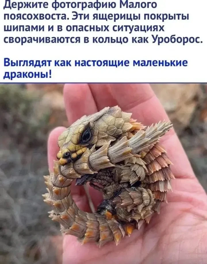 Какое чудо-❤️!