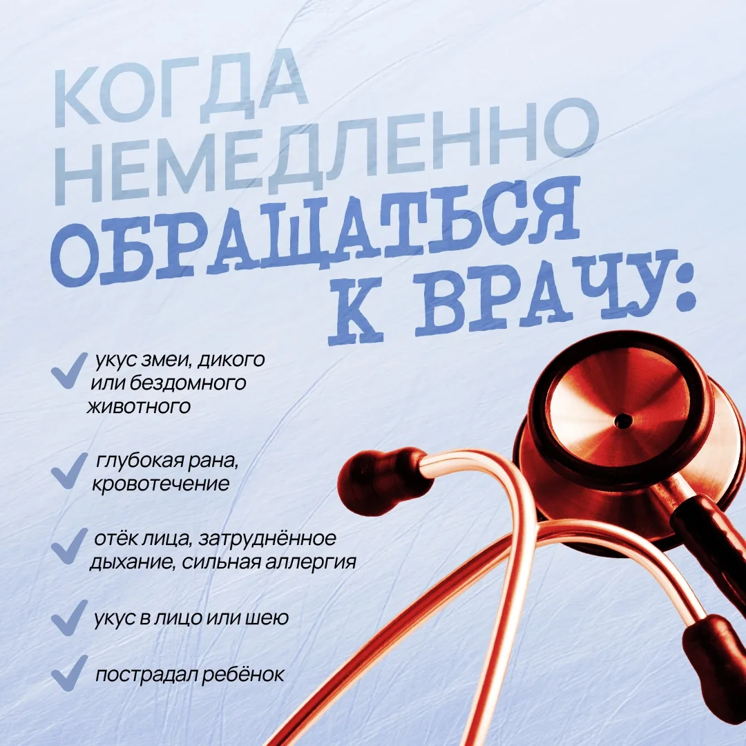 Что делать при укусах животных и насекомых 🦗

Отдых на природе в Югре может обернуться неприятной в