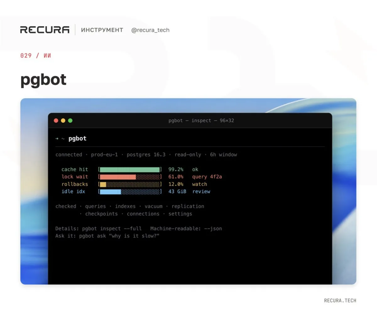 👨‍💻 pgbot
