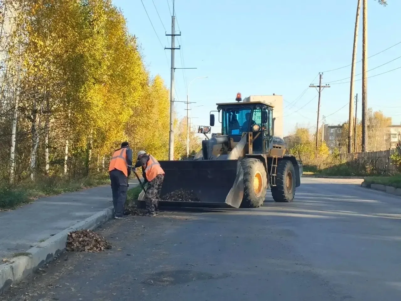 🌿 Ежедневно приводим город в порядок