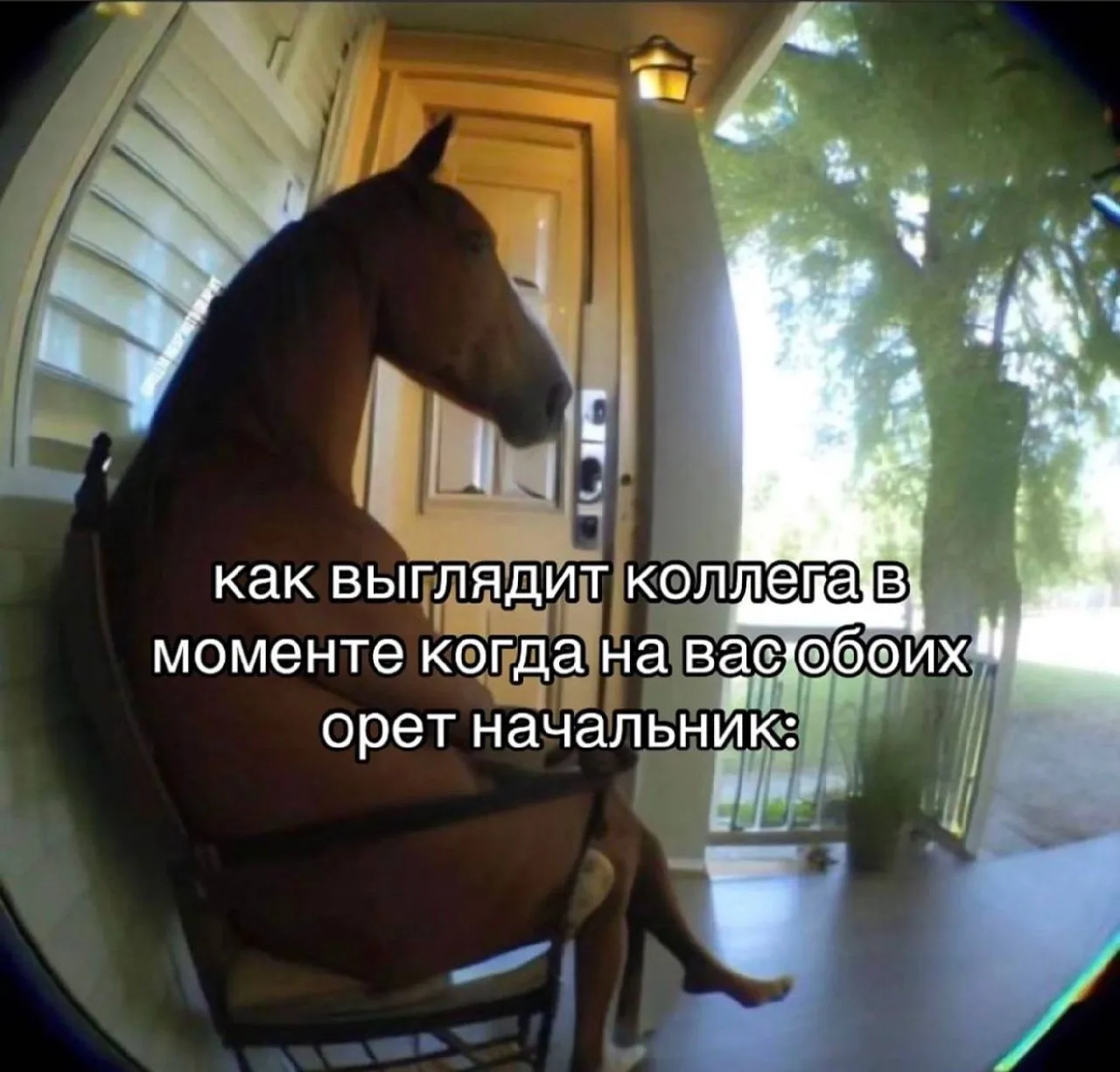 😄 Подпишись: Юмор и мемы