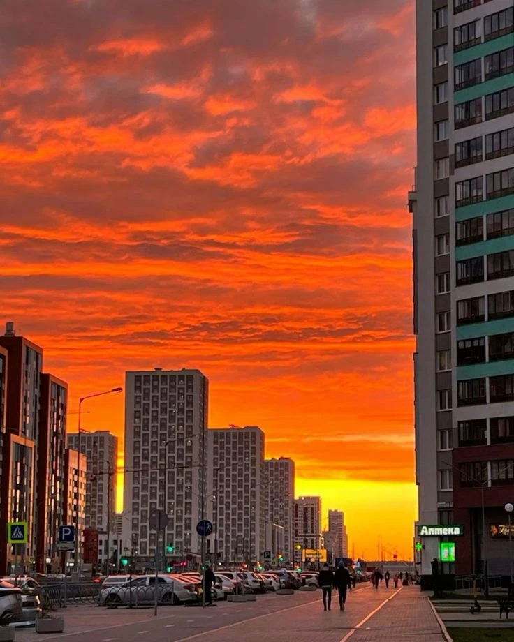 Предложка: