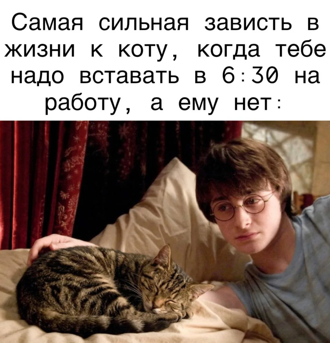 Фан-клуб Хогвартс Гарри Поттер