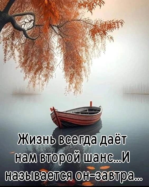 https://max.ru/invista123456