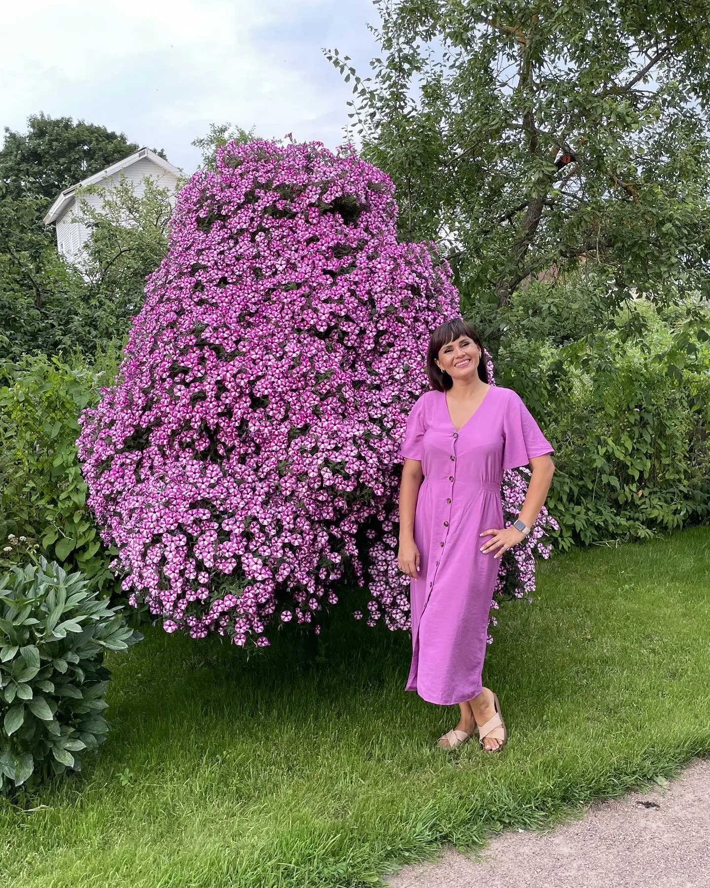 Зацветёт в 2019-2021 г.🌸