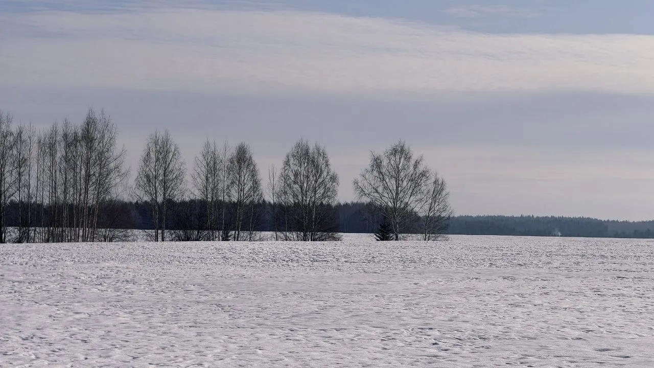 Весна в деревне
