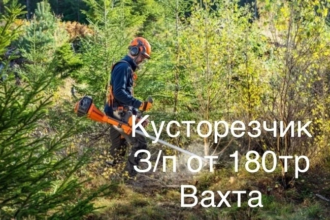 Приглашаем на работу кусторезчиков для выполнения работ по расчистке трасс ЛЭП от древе...